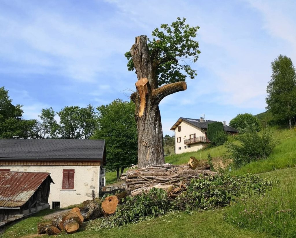 IMG 2115 e1766942619512