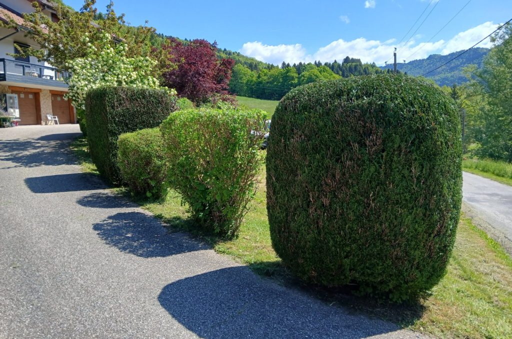 3342097080035479652 e1747727214246