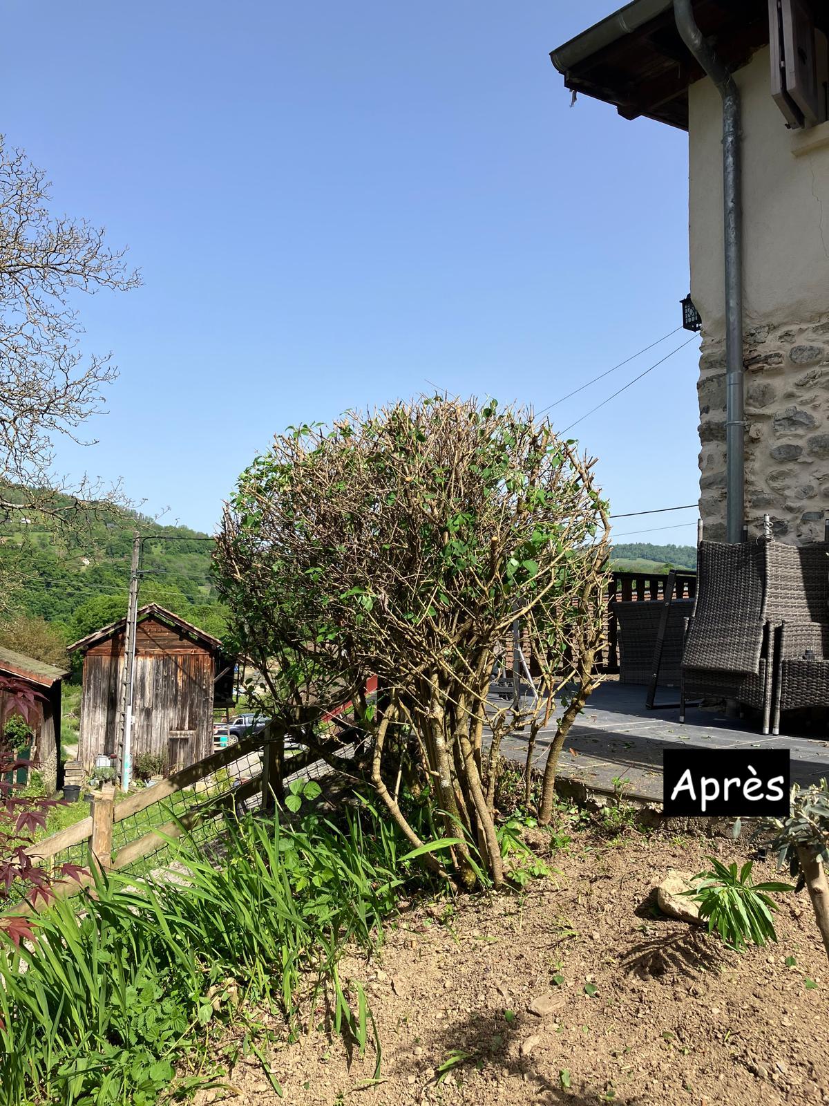 Entretiens des espaces verts 5 After image
