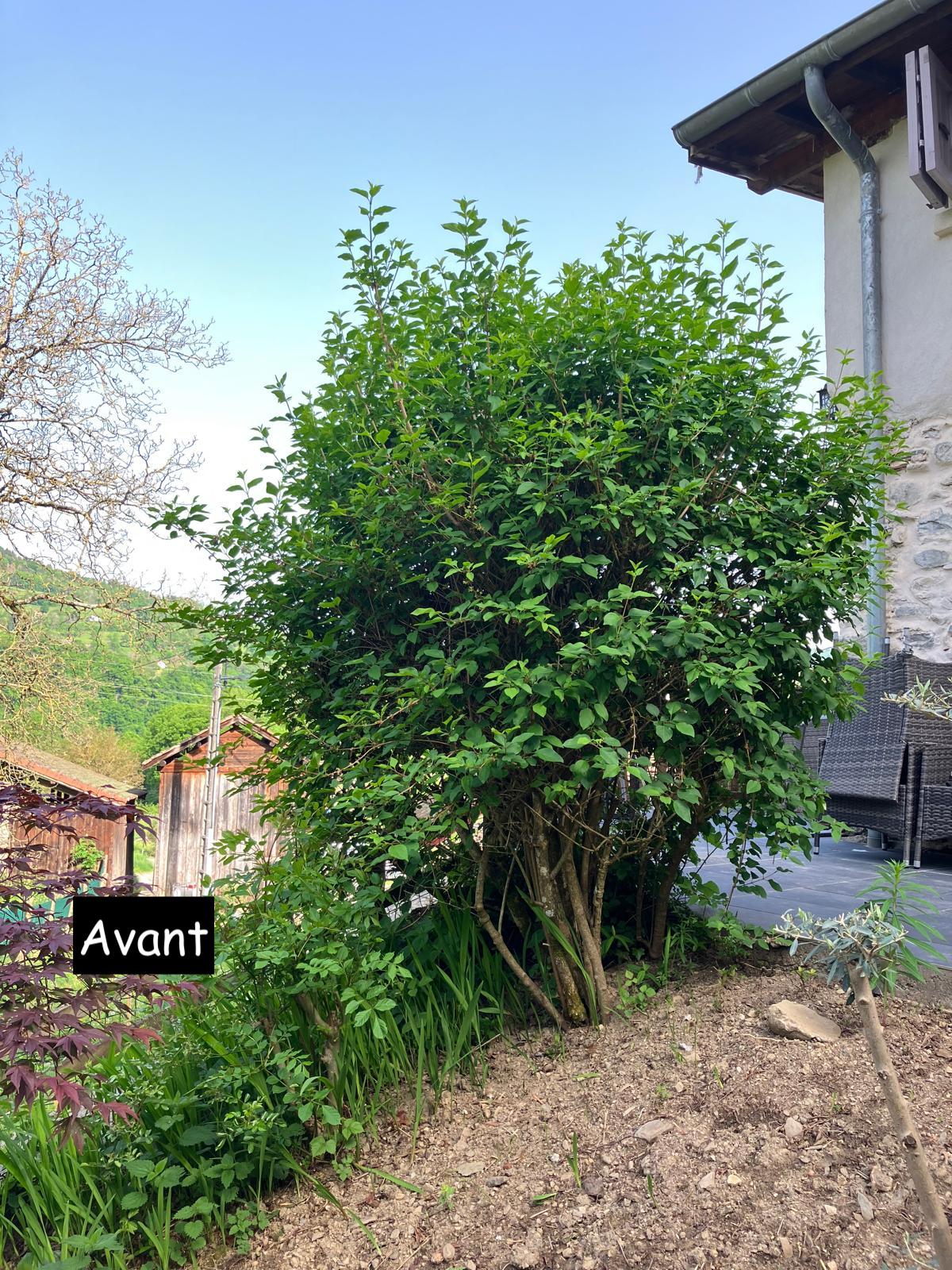 Entretiens des espaces verts 4 Before image